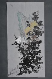 1986年高杨菊花