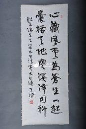 现代王澄行书心藏风云为苍生一起条幅