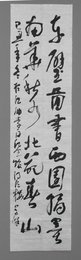 2009年学锋草书赤壁图书条幅