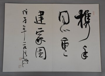 2008年张海“全国35名知名书法家共同题写携手同心共建家园册页