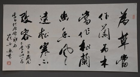 2014年崔承顺行草为草当作兰条幅