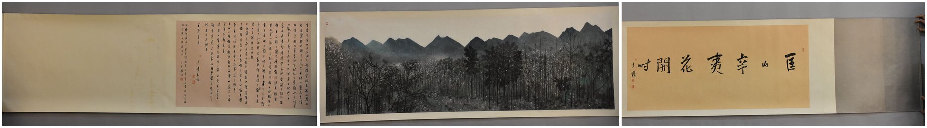 2012杜大恺横幅匡山辛夷花开时卷轴