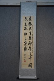 2019罗碧泉书法《民进会章摘句》