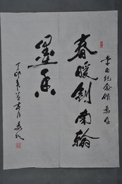 1987年沈前明草书“春暖剑南”条幅