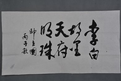 1996年帅立国行书李白故里天府明珠横幅