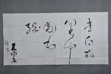 现代赵欣草书李白故里中国百强横幅