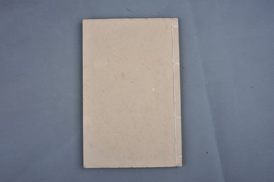 清光绪二十年刻本《医学初步》