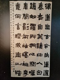 2024年郑海书法《览镜书怀》