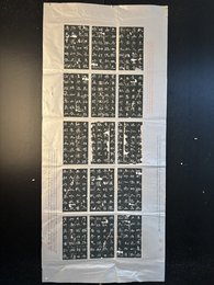 2024年严定北书法《李白诗》